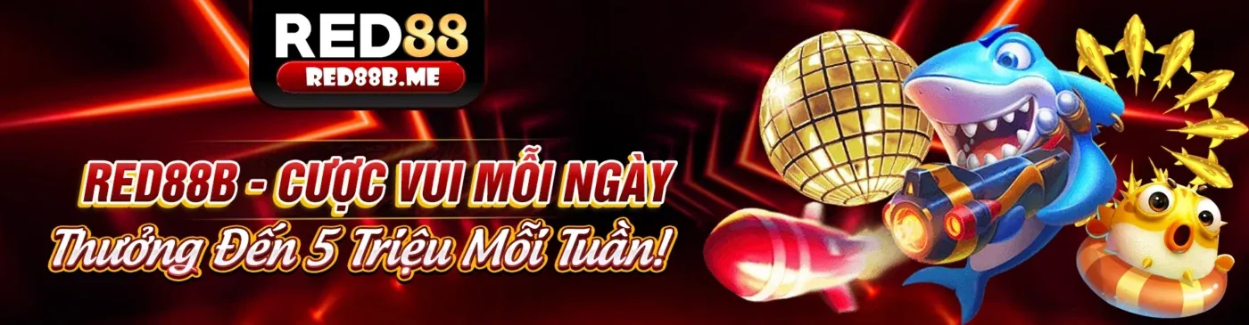 Nền tảng DK88 an toàn và đáng tin cậy